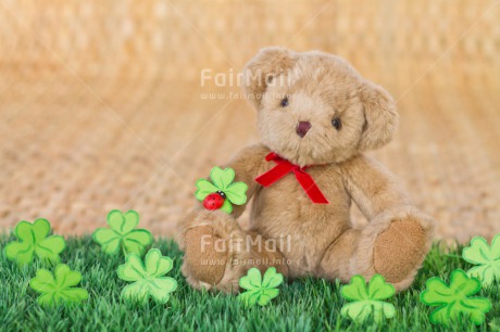 Fair Trade Photo Animals, Bear, Birthday, Clover, Colour image, Congratulations, Friendship, Grass, Green, Peluche, Peru, South America, Success, Teddybear, Thinking of you, Well done