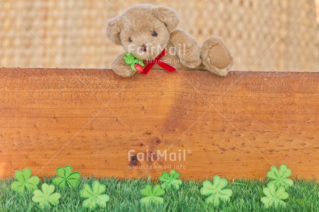 Fair Trade Photo Animals, Bear, Birthday, Clover, Colour image, Congratulations, Friendship, Grass, Green, Peluche, Peru, South America, Success, Teddybear, Thinking of you, Well done