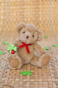 Fair Trade Photo Animals, Bear, Birthday, Clover, Colour image, Congratulations, Friendship, Green, Peluche, Peru, South America, Success, Teddybear, Thinking of you, Well done