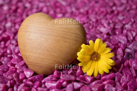 Fair Trade Photo Birth, Colour image, Flower, Girl, Heart, Horizontal, Love, Marriage, New baby, People, Peru, Purple, Rock, South America, Thinking of you, Valentines day, Wedding, Yellow