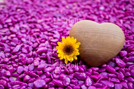 Fair Trade Photo Birth, Colour image, Flower, Girl, Heart, Horizontal, Love, Marriage, New baby, People, Peru, Purple, Rock, South America, Thinking of you, Valentines day, Wedding, Yellow