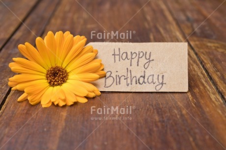 Fair Trade Photo Birthday, Brown, Colour, Colour image, Emotions, Flower, Happy, Horizontal, Letter, Nature, Object, Party, Peru, Place, South America, Text, Wood, Yellow