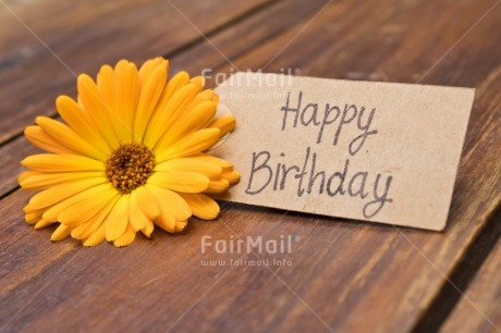 Fair Trade Photo Birthday, Brown, Colour, Colour image, Emotions, Flower, Happy, Horizontal, Letter, Nature, Object, Party, Peru, Place, South America, Text, Wood, Yellow