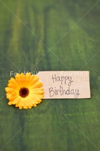 Fair Trade Photo Birthday, Colour, Colour image, Emotions, Flower, Green, Happy, Letter, Nature, Object, Party, Peru, Place, South America, Text, Vertical, Yellow