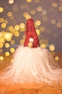 Fair Trade Photo Activity, Adjective, Celebrating, Christmas, Christmas decoration, Dwarf, Elf, Light, Nature, Object, People, Present, Santaclaus, Vertical