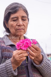 Fair Trade Photo Birthday, Care, Colour, Felicidad sencilla, Flower, Friendship, Get well soon, Gratitude, Hope, Mothers day, Nature, New beginning, Purple, Sorry, Spirituality, Strength, Success, Thank you, Thinking of you, Tolerance, Transformation, Values