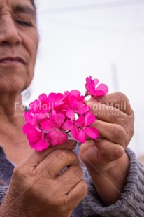 Fair Trade Photo Birthday, Care, Colour, Felicidad sencilla, Flower, Friendship, Get well soon, Gratitude, Hope, Mothers day, Nature, New beginning, Purple, Sorry, Spirituality, Strength, Success, Thank you, Thinking of you, Tolerance, Transformation, Values