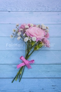 Fair Trade Photo Blue, Colour, Congratulations, Friendship, Love, Marriage, Mom, Mother, Mothers day, New beginning, New home, People, Pink, Sorry, Thank you, Thinking of you, Valentines day, Wedding, Well done