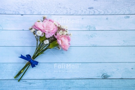 Fair Trade Photo Blue, Colour, Congratulations, Friendship, Love, Marriage, Mom, Mother, Mothers day, New beginning, New home, People, Pink, Sorry, Thank you, Thinking of you, Valentines day, Wedding, Well done