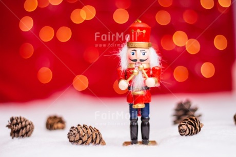 Fair Trade Photo Christmas, Christmas decoration, Light, Nature, Object, Pine cone, Snow