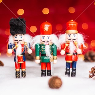 Fair Trade Photo Christmas, Christmas decoration, Light, Nature, Object, Pine cone, Snow