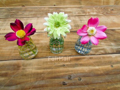 Fair Trade Photo Colour image, Flower, Horizontal, Mothers day, Peru, South America, Vase