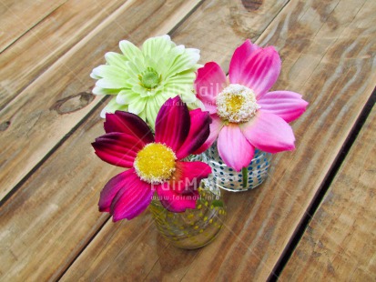 Fair Trade Photo Colour image, Flower, Horizontal, Mothers day, Peru, South America, Vase