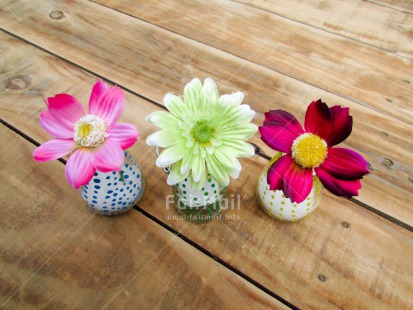 Fair Trade Photo Colour image, Flower, Horizontal, Mothers day, Peru, South America, Vase