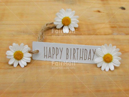 Fair Trade Photo Birthday, Closeup, Colour image, Flower, Horizontal, Letter, Shooting style