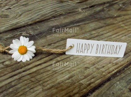 Fair Trade Photo Birthday, Closeup, Colour image, Flower, Horizontal, Letter, Shooting style