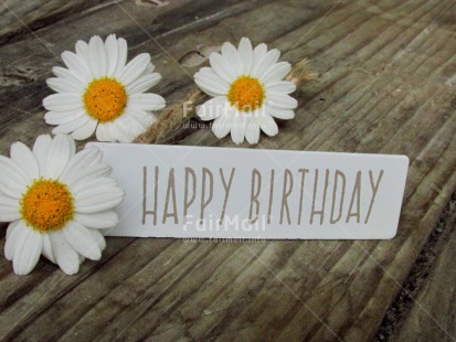 Fair Trade Photo Birthday, Closeup, Colour image, Flower, Horizontal, Letter, Shooting style