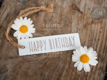 Fair Trade Photo Birthday, Closeup, Colour image, Flower, Horizontal, Letter, Shooting style