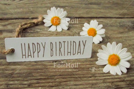 Fair Trade Photo Birthday, Closeup, Colour image, Flower, Horizontal, Letter, Shooting style