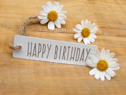 Fair Trade Photo Birthday, Closeup, Colour image, Flower, Horizontal, Letter, Shooting style