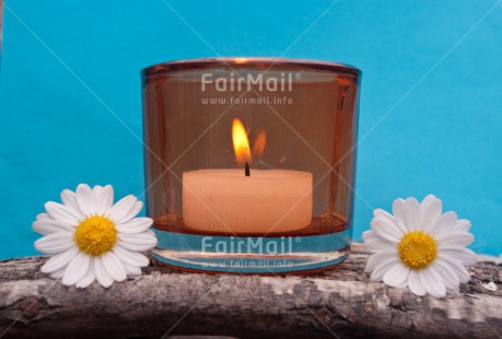 Fair Trade Photo Candle, Colour image, Condolence-Sympathy, Daisy, Flame, Flower, Horizontal, Peru, South America, Thinking of you, Wellness