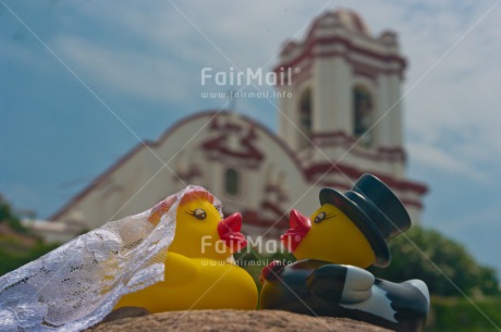 Fair Trade Photo Animals, Bride, Church, Colour image, Duck, Funny, Groom, Horizontal, Marriage, Peru, South America, Wedding