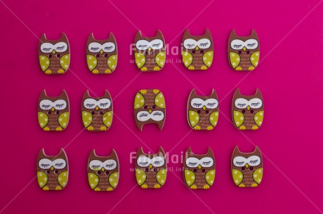 Fair Trade Photo Animals, Colour image, Friendship, Funny, Horizontal, Love, Owl, Peru, South America