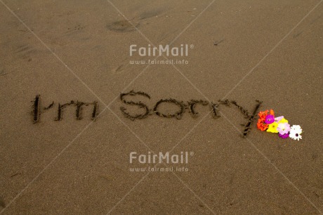 Fair Trade Photo Beach, Colour image, Flower, Horizontal, Letter, Peru, Sand, Sorry, South America