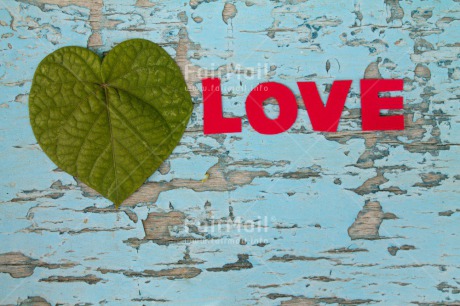 Fair Trade Photo Colour image, Heart, Horizontal, Leaf, Letter, Love, Peru, South America, Valentines day