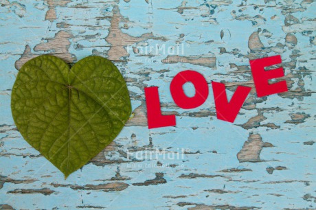 Fair Trade Photo Colour image, Heart, Horizontal, Leaf, Letter, Love, Peru, South America, Valentines day