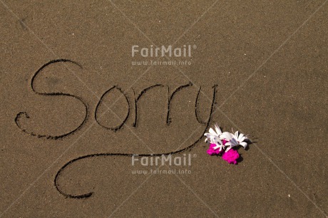 Fair Trade Photo Beach, Colour image, Flower, Horizontal, Peru, Sand, Sorry, South America