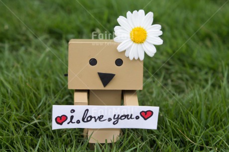 Fair Trade Photo Colour image, Danboard, Heart, Horizontal, Love, Peru, South America, Valentines day, Vertical