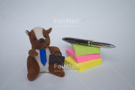 Fair Trade Photo Animals, Colour image, Funny, Horizontal, New Job, Peru, South America, Squirrel, Suitcase, Tie