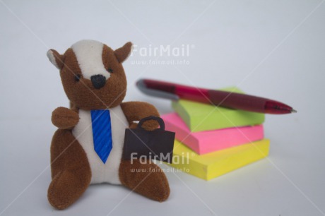 Fair Trade Photo Animals, Colour image, Funny, Horizontal, New Job, Peru, South America, Squirrel, Suitcase, Tie