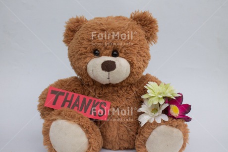 Fair Trade Photo Flower, Letter, Teddybear, Thank you