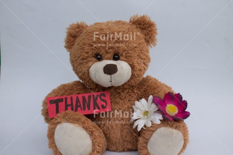 Fair Trade Photo Flower, Letter, Teddybear, Thank you