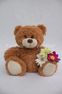 Fair Trade Photo Flower, Letter, Teddybear, Thank you