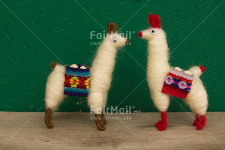 Fair Trade Photo Animals, Colour image, Horizontal, Llama, Love, Marriage, Peru, South America, Together, Valentines day, Wedding