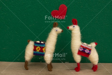 Fair Trade Photo Animals, Colour image, Horizontal, Llama, Love, Marriage, Peru, South America, Together, Valentines day, Wedding