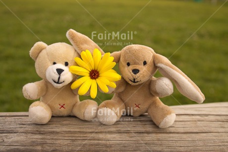 Fair Trade Photo Activity, Animals, Bear, Colour image, Couple, Flower, Friendship, Grass, Green, Horizontal, Love, Outdoor, Peru, Rabbit, Sitting, South America, Together, Toy, Two, Wood, Yellow