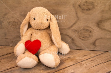 Fair Trade Photo Activity, Animals, Colour image, Fathers day, Heart, Horizontal, Love, Mothers day, Peru, Rabbit, Sitting, South America, Toy, Valentines day, Wood