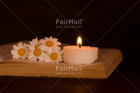 Fair Trade Photo Black, Book, Candle, Colour image, Condolence-Sympathy, Daisy, Flower, Horizontal, Indoor, Light, Love, Night, Peru, South America, White