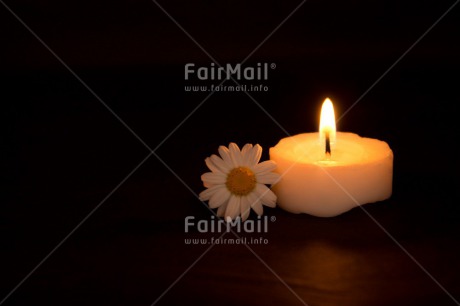 Fair Trade Photo Black, Book, Candle, Colour image, Condolence-Sympathy, Daisy, Flower, Horizontal, Indoor, Light, Love, Night, Peru, South America, White