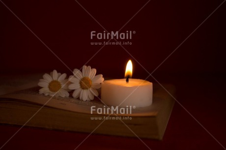 Fair Trade Photo Candle, Colour image, Condolence-Sympathy, Daisy, Flame, Flowers, Horizontal, Indoor, Light, Peru, Silence, South America, White