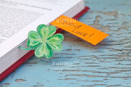 Fair Trade Photo Activity, Book, Clover, Colour image, Exams, Good luck, Green, Horizontal, Indoor, New Job, Peru, School, South America, Studying, Success, Text