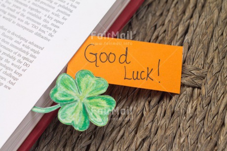 Fair Trade Photo Activity, Book, Clover, Colour image, Exams, Good luck, Green, Horizontal, Indoor, New Job, Peru, School, South America, Studying, Success, Text