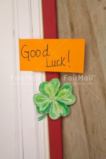 Fair Trade Photo Activity, Book, Clover, Colour image, Exams, Good luck, Green, Indoor, New Job, Peru, School, South America, Studying, Success, Text, Vertical