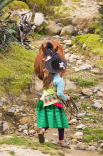 Fair Trade Photo Animals, Child, Clothing, Colour image, Culture, Day, Girl, Horse, Latin, Nature, Outdoor, People, Peru, Rural, South America, Traditional clothing, Vertical