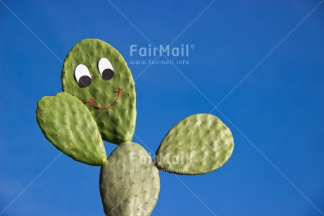 Fair Trade Photo Blue, Cactus, Colour image, Day, Funny, Green, Greeting, Horizontal, Nature, Outdoor, Peru, Sky, Smile, Smiling, South America