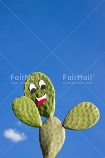 Fair Trade Photo Blue, Cactus, Colour image, Day, Funny, Green, Greeting, Nature, Outdoor, Peru, Sky, South America, Vertical